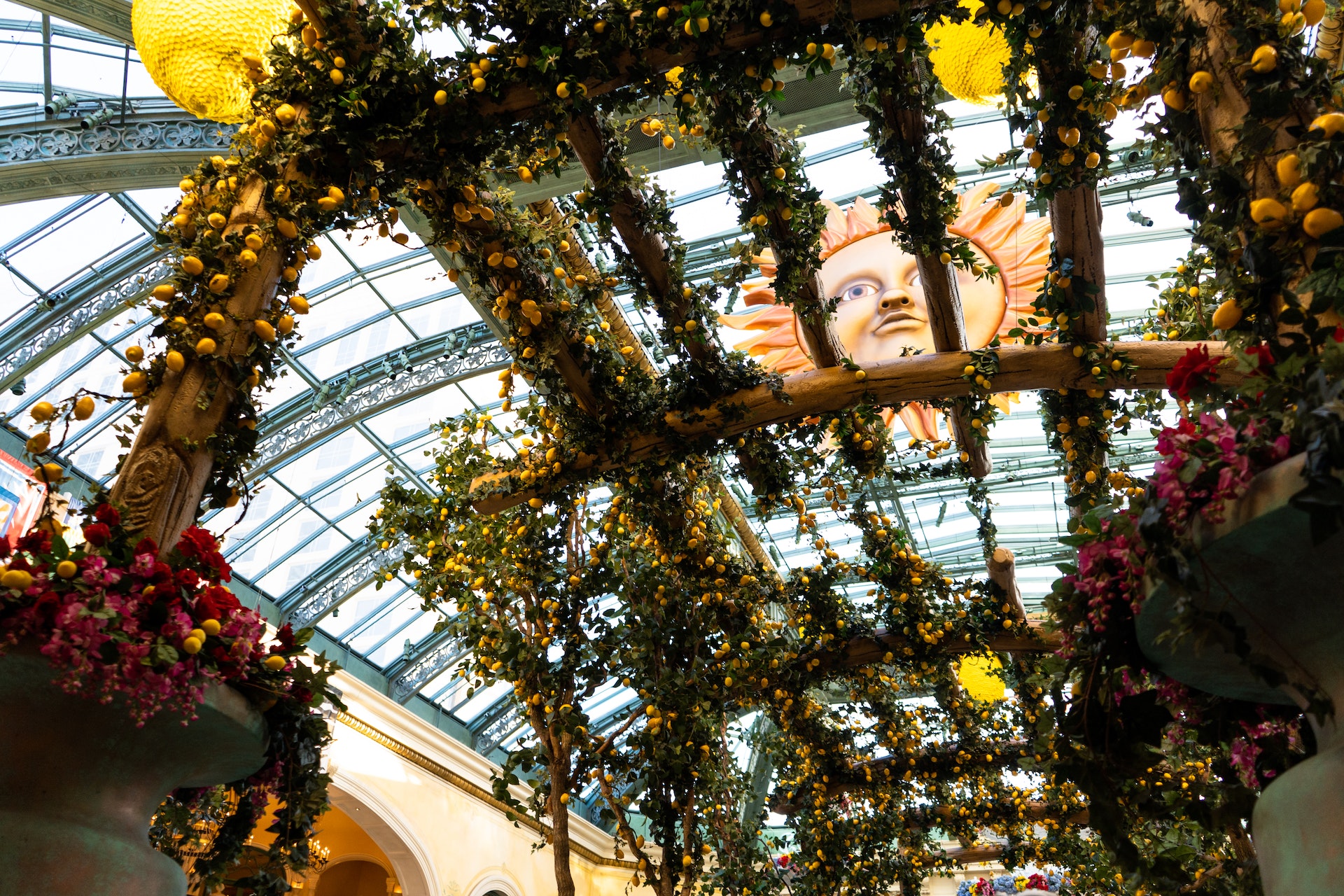 canopy-overgrown-with-lemons