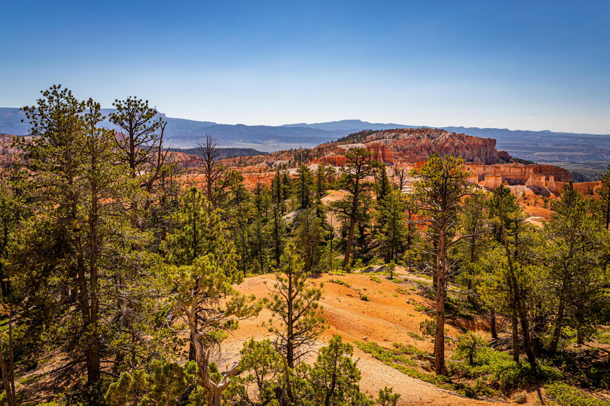 8b338be95e4a35f56e3c90e10bdecac1