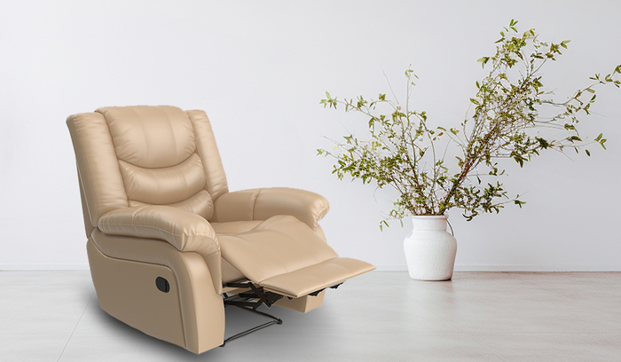 The Beauty and Versatility of Recliner