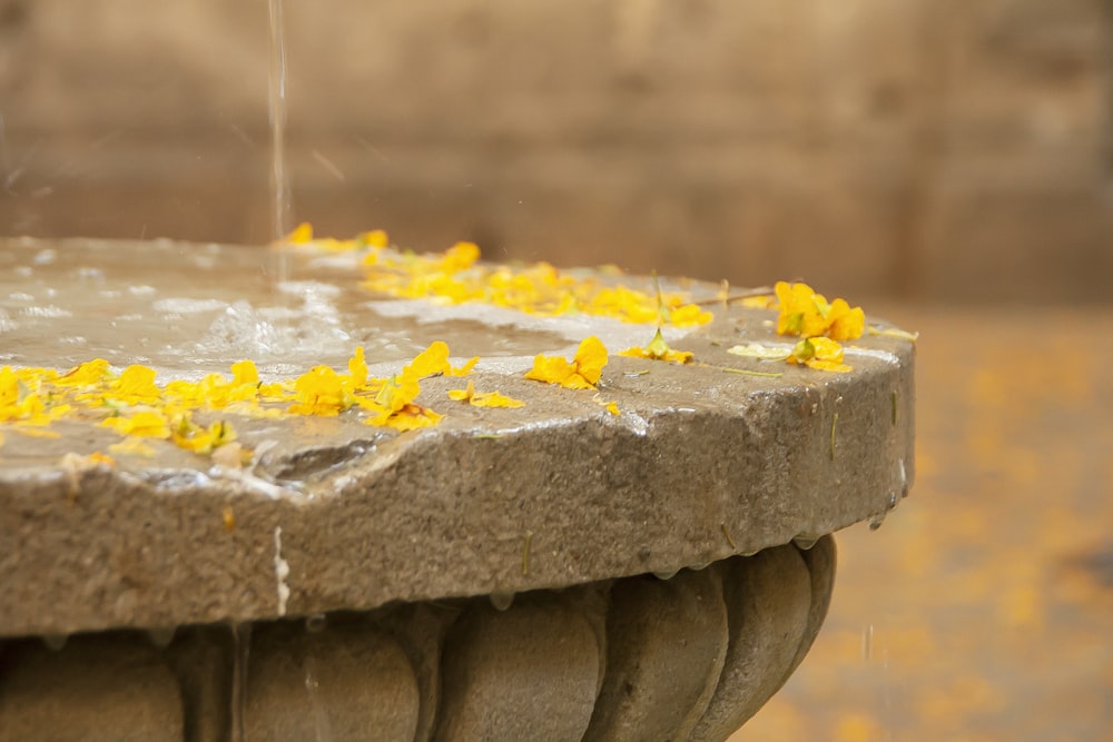 What Are The Key Features To Look For In A Stone Fountain