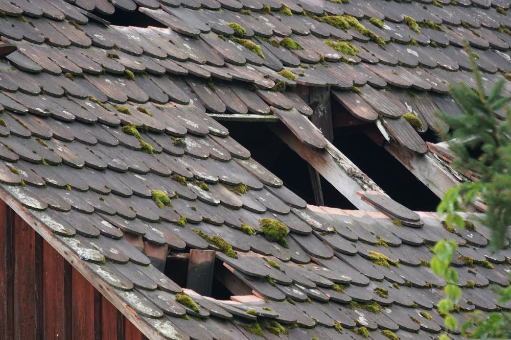 The Hidden Dangers of DIY Roofing