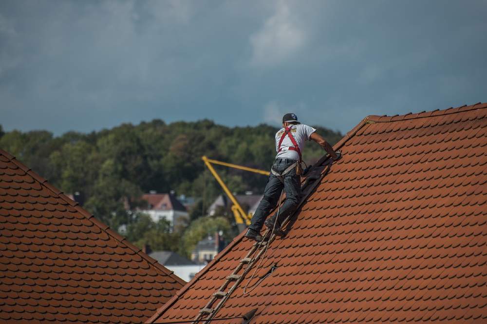 Signs It's Time for a Roof Inspection of Your Commercial Building