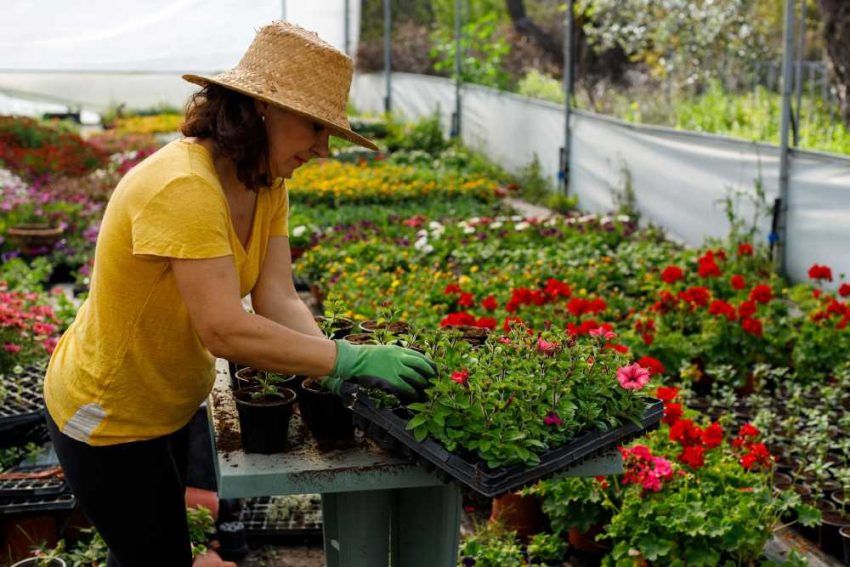 Creating a Thriving Garden