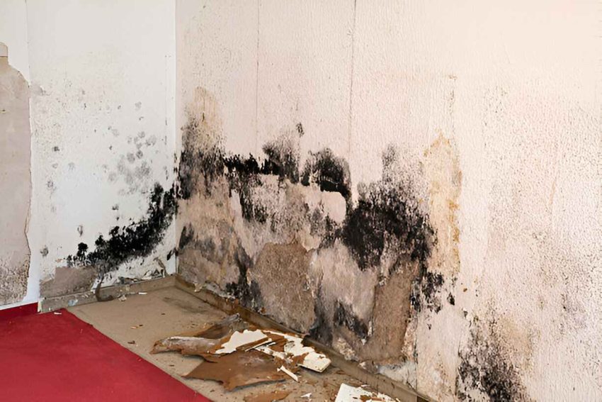 5 unwanted consequences and the hidden dangers of a damp basement